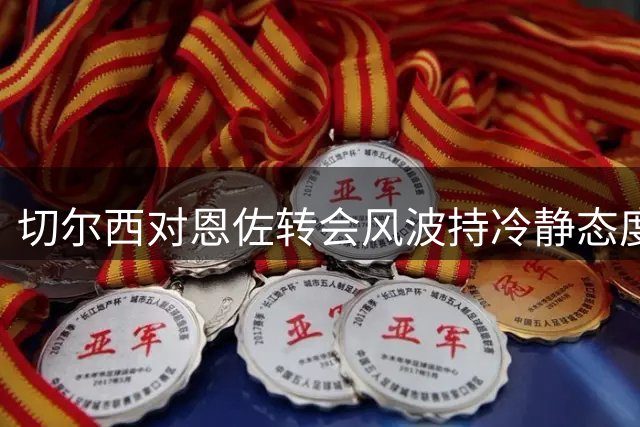 切尔西对恩佐转会风波持冷静态度 相信其职业素养
